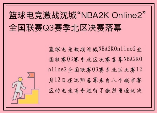 篮球电竞激战沈城“NBA2K Online2”全国联赛Q3赛季北区决赛落幕